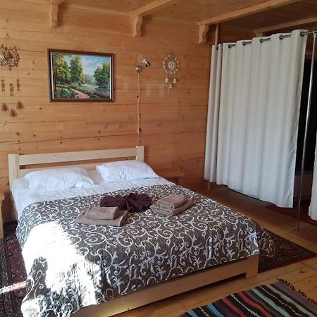Dayarta Hotel Skhidnytsia Exterior photo